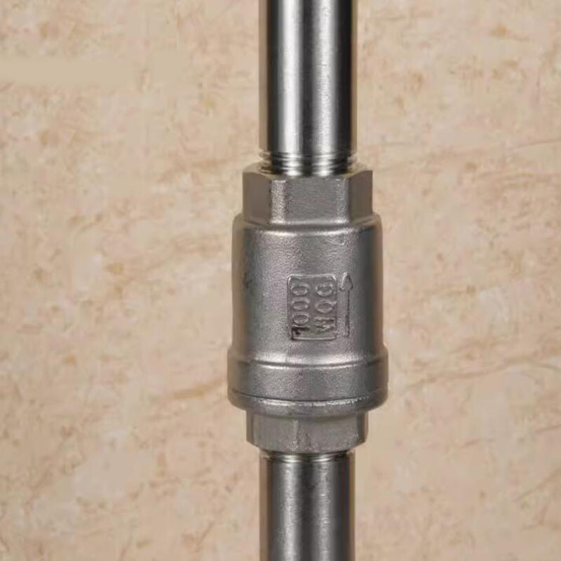 1/2″ 3/4″ 1″ BSP 304 Stainless Steel One Way Check Valve Spring/Swing Non Return