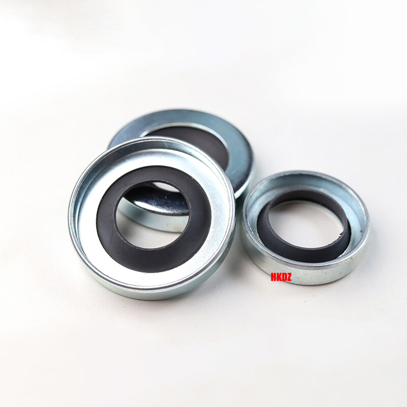Carbon Steel PTFE Oil Shaft Seal for Pump/Air Compressor ID 25~100mm OD 40~125mm