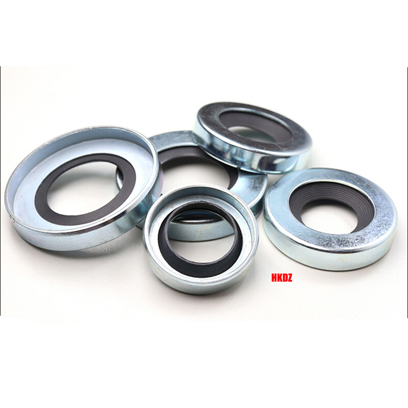 Carbon Steel PTFE Oil Shaft Seal for Pump/Air Compressor ID 25~100mm OD 40~125mm