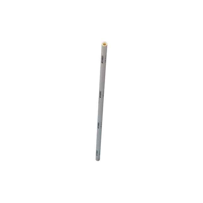 1/2 in. x 2 ft. CPVC Water Supply Pipe